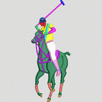  ɫpolo_ķ2006EBMʽ廨