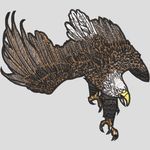 ӥ ��չ��ͼ���վ�Ʒ ���廨�����������