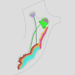 �ɻ� ����廨�����������