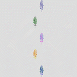 五种彩色植物插画 窗帘