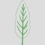 绿色植物枝叶图案 家纺 窗帘 装饰