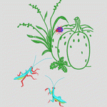 昆虫与植物图案设计