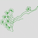绿色植物刺绣图案