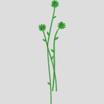 绿色植物刺绣图案 花型