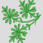 绿色植物图案设计