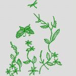 绿色植物与蝴蝶刺绣图案 服装