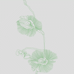 绿色线条花卉图案