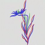 彩色植物刺绣图案