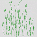 绿色植物线条插画
