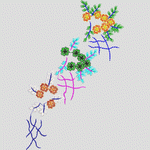 彩色刺绣花卉图案