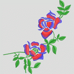 彩色刺绣玫瑰花图案