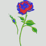 彩色刺绣玫瑰花