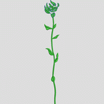 绿色植物茎叶插图