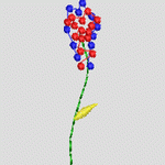 彩色球体花朵模型