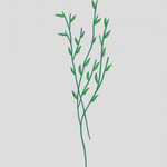 绿色植物枝叶图案