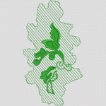 绿色植物刺绣图案