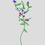 刺绣花卉图案