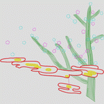 植物与血管结构示意图