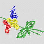 彩色刺绣花卉图案