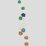 彩色花卉装饰图案