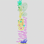 水生植物刺绣图案