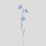 花卉图案线稿设计