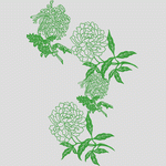绿色花卉线描图案 菊花VIP