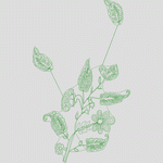 绿色植物线描图案