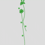 绿色植物刺绣图案_时装 女装绣花