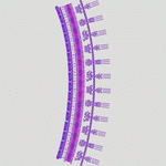 民族抽象条摆边帽裙