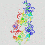 传统中老年民族花鸟
