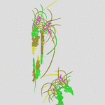 女装 兰花 精品