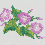 女装 靓花 牵牛花