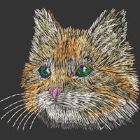 ��ѻ����廨�����������