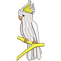 ��ѻ����廨�����������