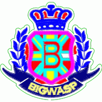 BigWasp徽章标志 经典皇冠徽章仔图案版带图