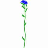 蓝色花朵植物插图 免费小花系列5千针以下