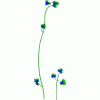 三维植物模型渲染图 免费小花系列5千针以下