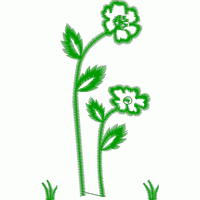 绿色植物刺绣图案 免费小花系列5千针以下