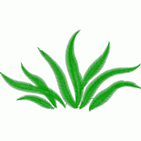 绿色植物刺绣图案 免费小花系列5千针以下