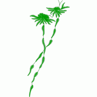 绿色植物刺绣图案 免费小花系列5千针以下