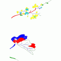 彩色刺绣花卉图案 免费小花系列5千针以下