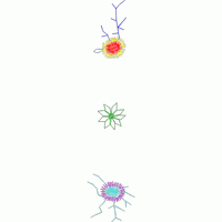 三幅抽象分子结构图 免费小花系列5千针以下
