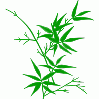 绿色植物刺绣图案 免费床上用品花边窗帘