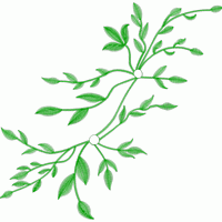 绿色植物刺绣图案 免费中花系列5千-1万针