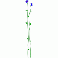 蓝色花朵植物插图 免费中花系列5千-1万针