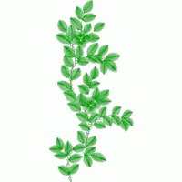 绿色植物刺绣图案 免费中花系列5千-1万针