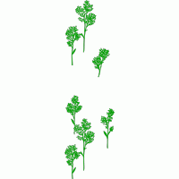 绿色植物刺绣图案 免费大花系列1万针以上