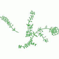 绿色植物枝叶结构图 免费大花系列1万针以上