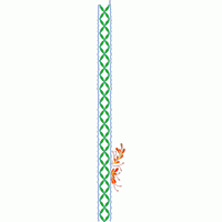 绿色刺绣边饰与橙色花卉图案 免费大花系列1